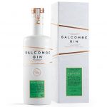 Salcombe Phantom