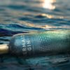 Mini Mermaid Gin <small>5cl,                                                           42%</small> - Image 2