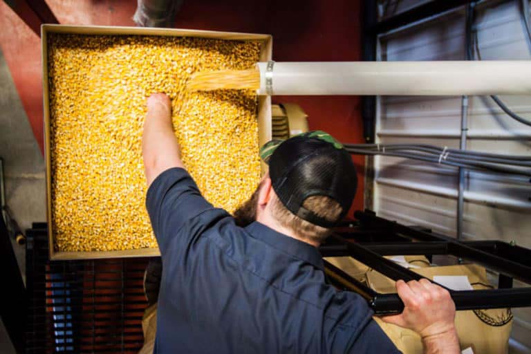 Smooth ambler man with corn