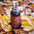 6 O Clock sloe in leaves