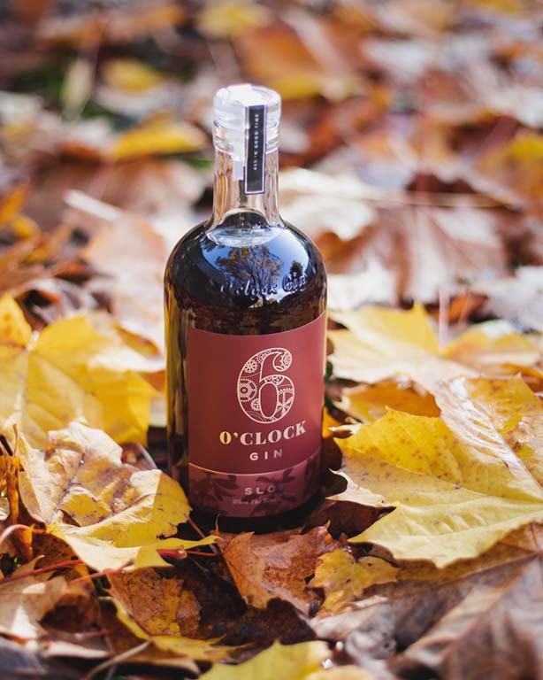 6 O Clock sloe in leaves