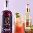 6 O'Clock Damson Gin Ginger Ale