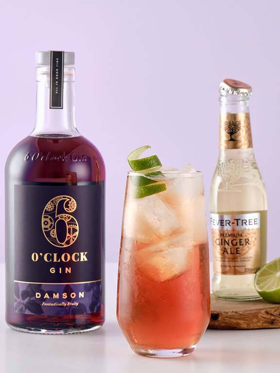 6 O'Clock Damson Gin Ginger Ale