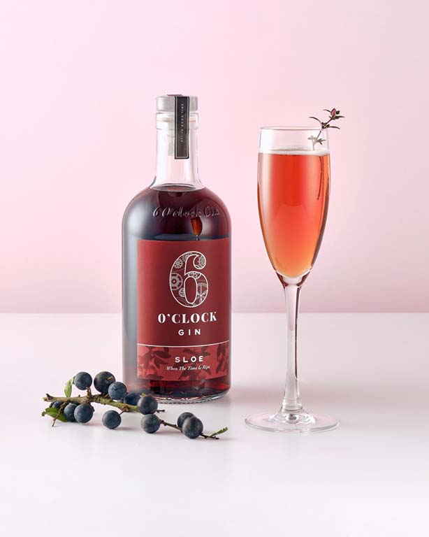 6 O 'Clock Sloe Fizz