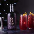 6 O'Clock Damson Gin