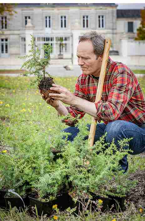 Citadella man looking at plant (1)