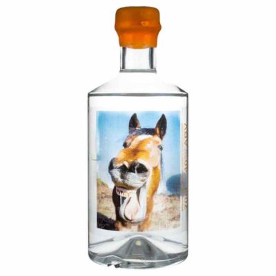 Gin Jar Horseradish Horse face Gin white background