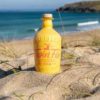 Pineapple & Pink Grapefruit on the beach