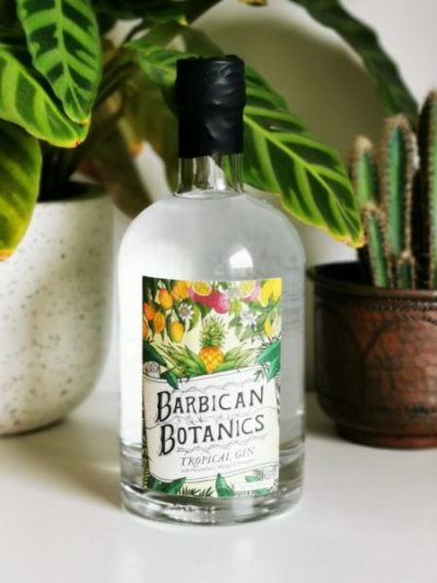 Barbican Botanics Tropical Gin in front of plants