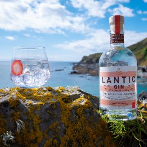 Summer Gin and Drink Square (2)