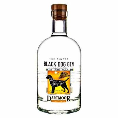 Black Dog Gin bottle on a white background
