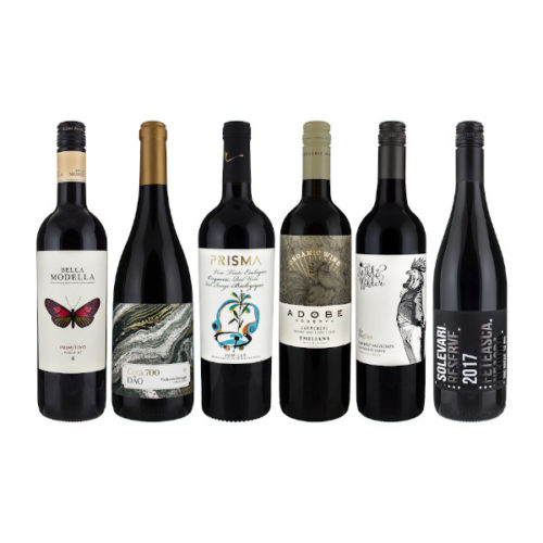 Vegan Red Wines on a white background